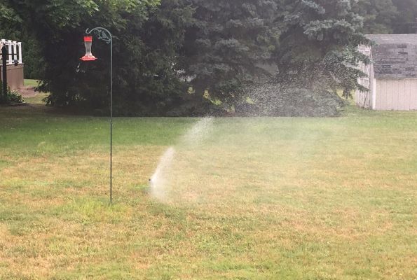 sprinkler watering lawns
