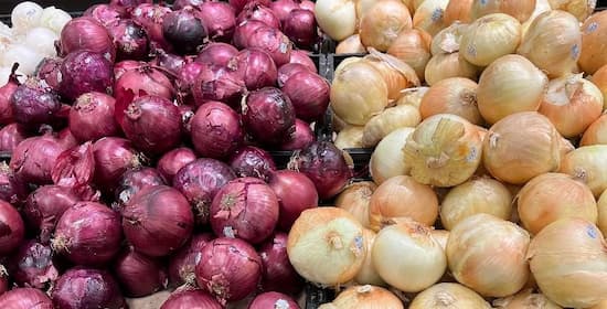 2023 hot sale onion and vegetable